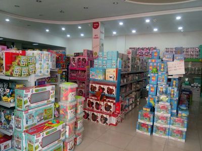 加入淘淘虎玩具 掌握兒童早教玩具知識與銷售技巧，共贏財富未來