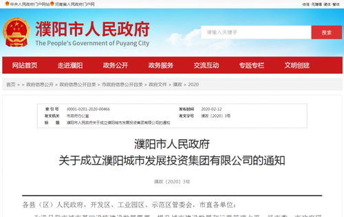 注冊(cè)資本金20億元，濮陽城市發(fā)展投資集團(tuán)正式成立