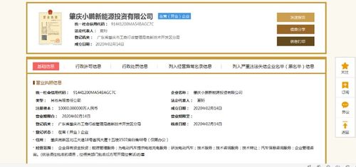 小鵬汽車深化產業布局 1億元設立新能源投資公司，分公司注冊同步啟動